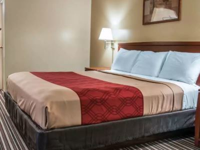 Lodge Econo Paw Paw